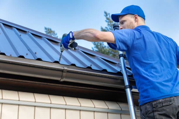 Best Roof Insulation Installation  in Fraser, MI
