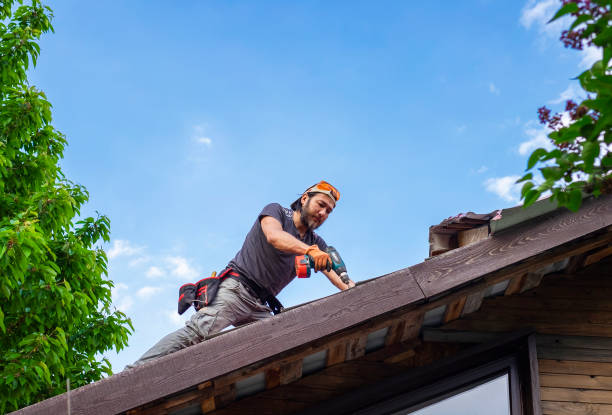 Roof Coating Services in Fraser, MI