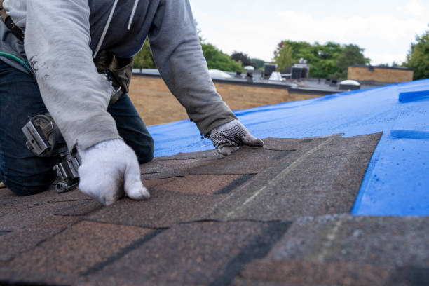Best Tile Roofing Installation  in Fraser, MI