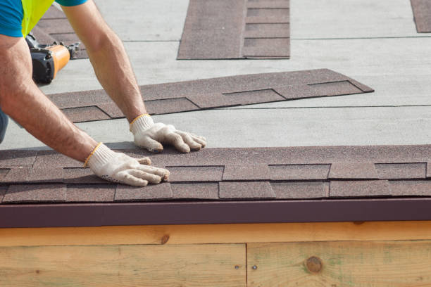 Best Sheet Metal Roofing  in Fraser, MI